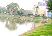 春风又绿江南岸